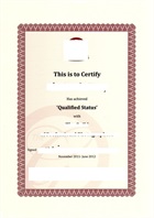Professional certificate